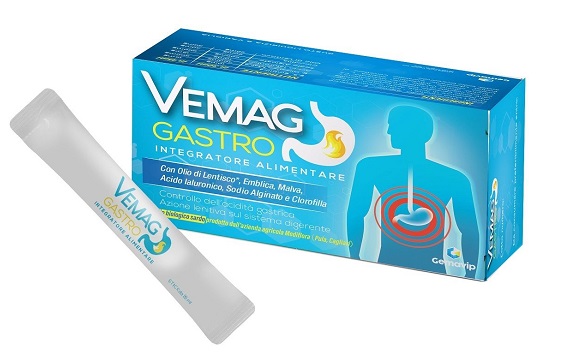 VEMAG GASTRO 20 STICK - farmaidea24.com
