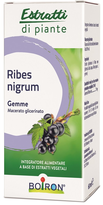 RIBES NIGRUM BOIRON MACERATO GLICERICO 60 ML - farmaidea24.com