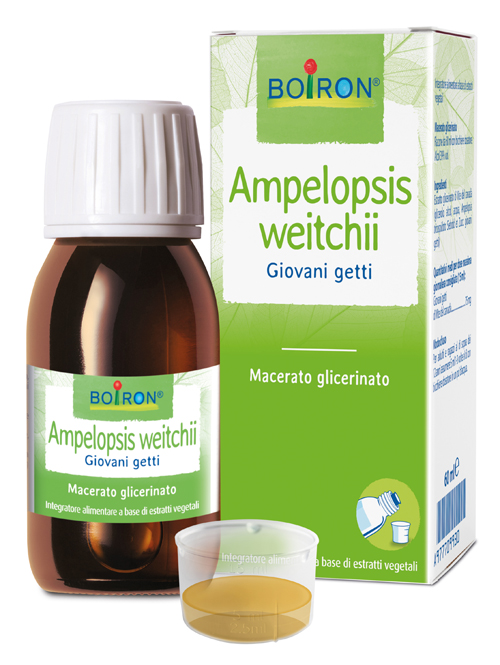 AMPELOPSIS WESTRATTO IDROALCOLICO BOIRON MACERATO GLICERICO 60 ML - farmaidea24.com