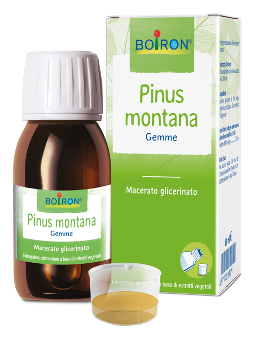 PINUS MONTANA BOIRON MACERATO GLICERICO 60 ML - farmaidea24.com