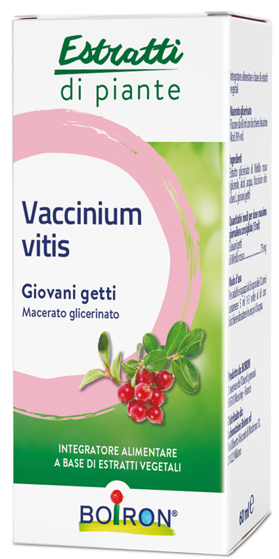 VACCINIUM VITIS MACERATO GLICERICO 60 ML - farmaidea24.com
