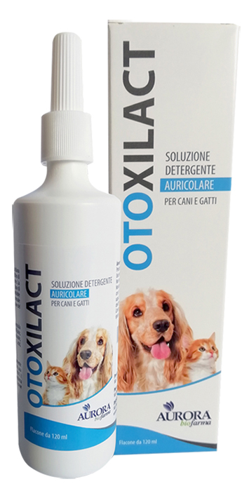 OTOXILACT DETERGENTE AURICOLARE - farmaidea24.com