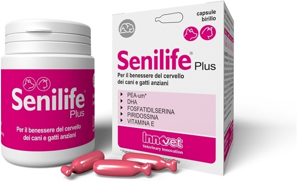 SENILIFE PLUS 60 CAPSULE - farmaidea24.com