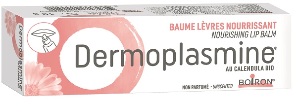 DERMOPLASMINE BALSAMO LABBRA RIPARATORE E NUTRIENTE 10 G - farmaidea24.com