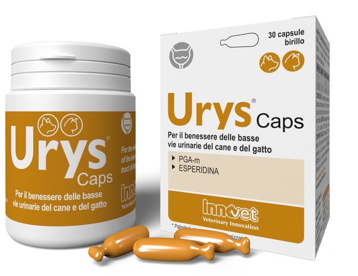 URYS CAPS 30 CAPSULE - farmaidea24.com
