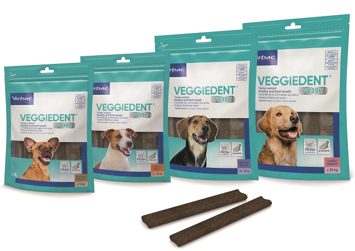 VEGGIEDENT FR3SH M 15 STICK - farmaidea24.com