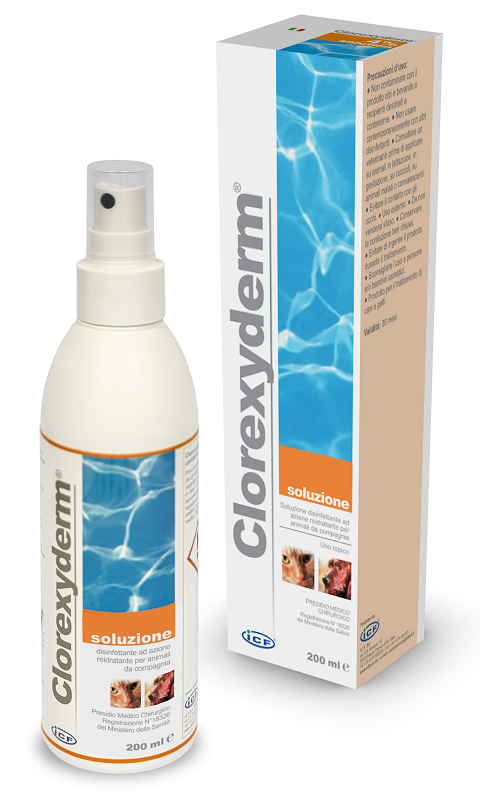 CLOREXYDERM SOLUZIONE 200 ML - farmaidea24.com