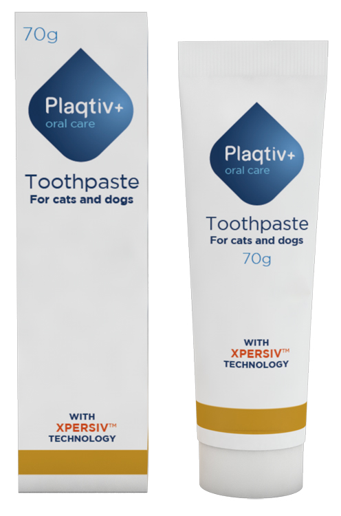 PLAQTIV+ ORAL CARE DENTIFRICIO IN PASTA 70 G - farmaidea24.com