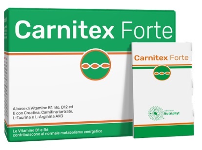 CARNITEX FORTE 14 BUSTINE - farmaidea24.com